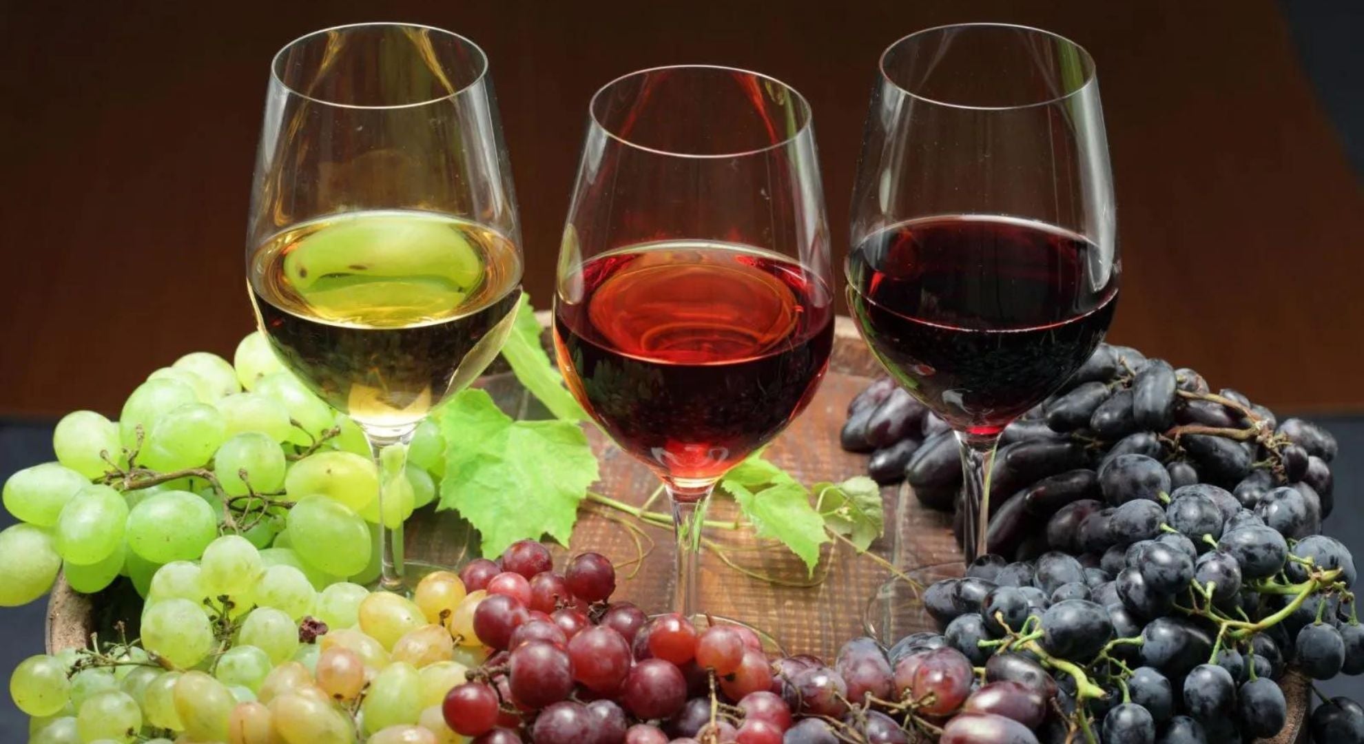A Ultimate Guide to Wine Beginners_ Wine Basics, Types and Tasting