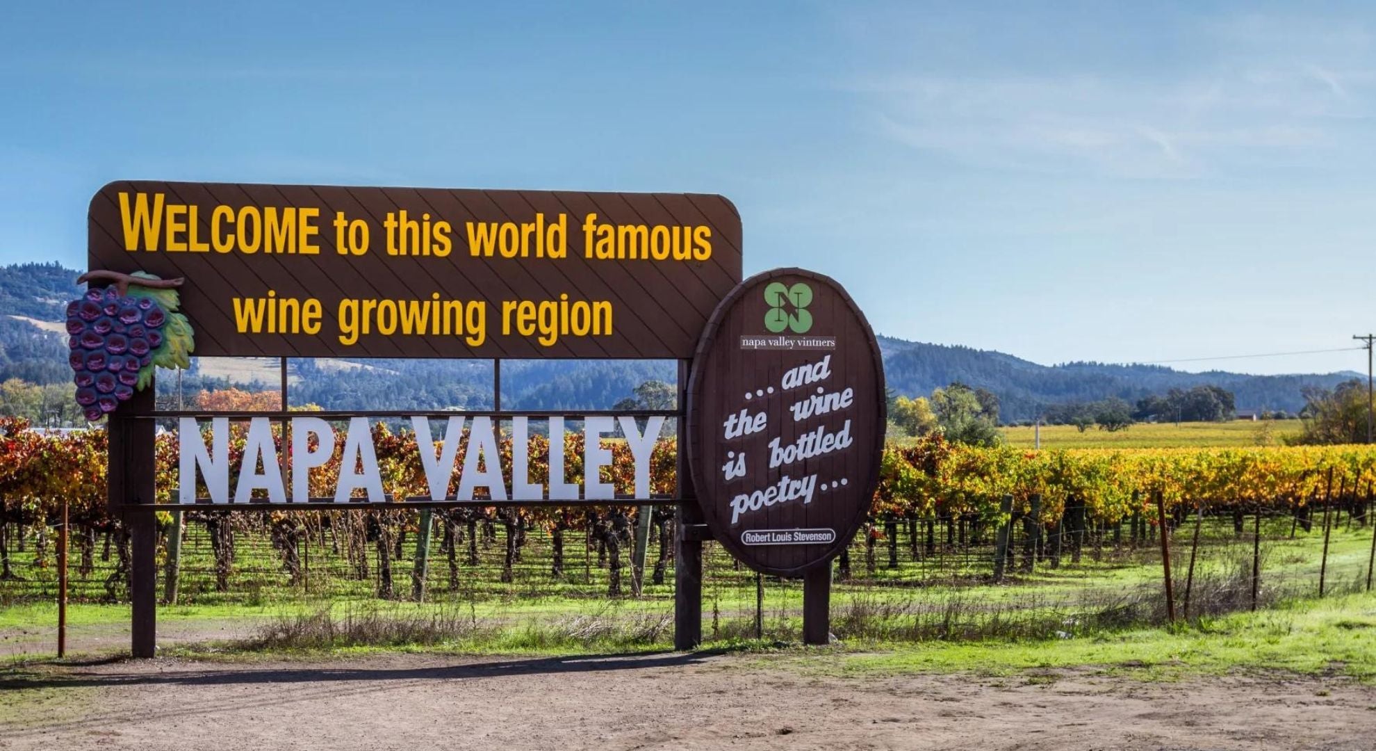 Exploring the Rich Tapestry of Napa Valley Wine Vineyards