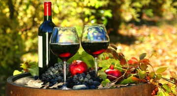 Exploring the Enchanting World of Vineyards