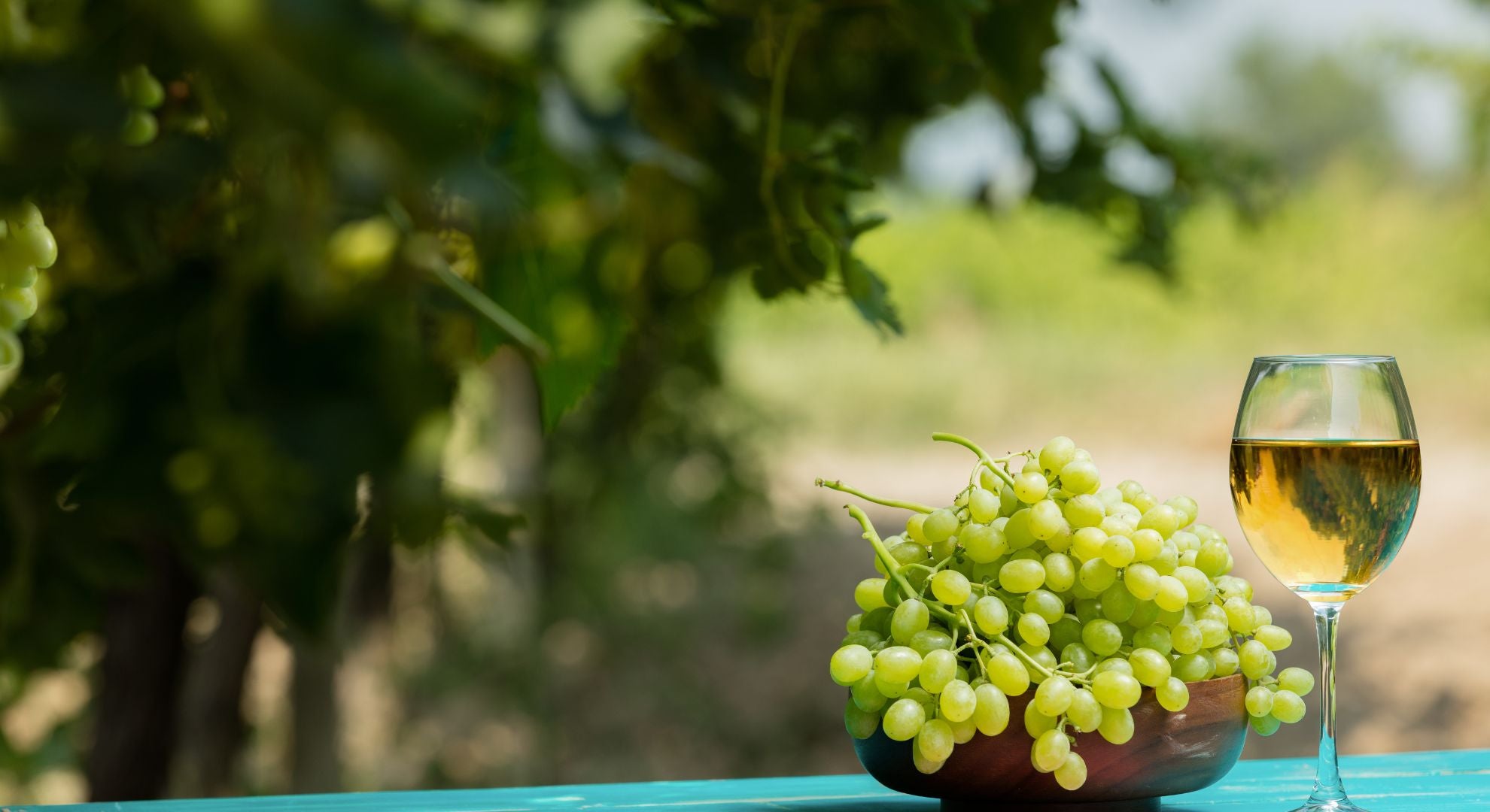 From Vine to Glass_ Exploring the Delicate Flavors of Arneis Wine