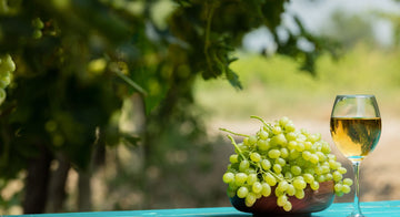 From Vine to Glass_ Exploring the Delicate Flavors of Arneis Wine