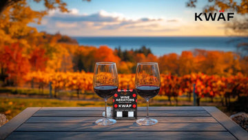 How an Aerator Wine Enhances Flavor Instantly