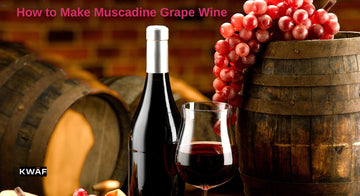 Craft Your Own: How to Make Muscadine Grape Wine 
