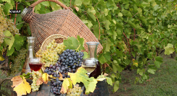 Pinot Meunier Wine_ A Journey Through the Lesser-Known Grape