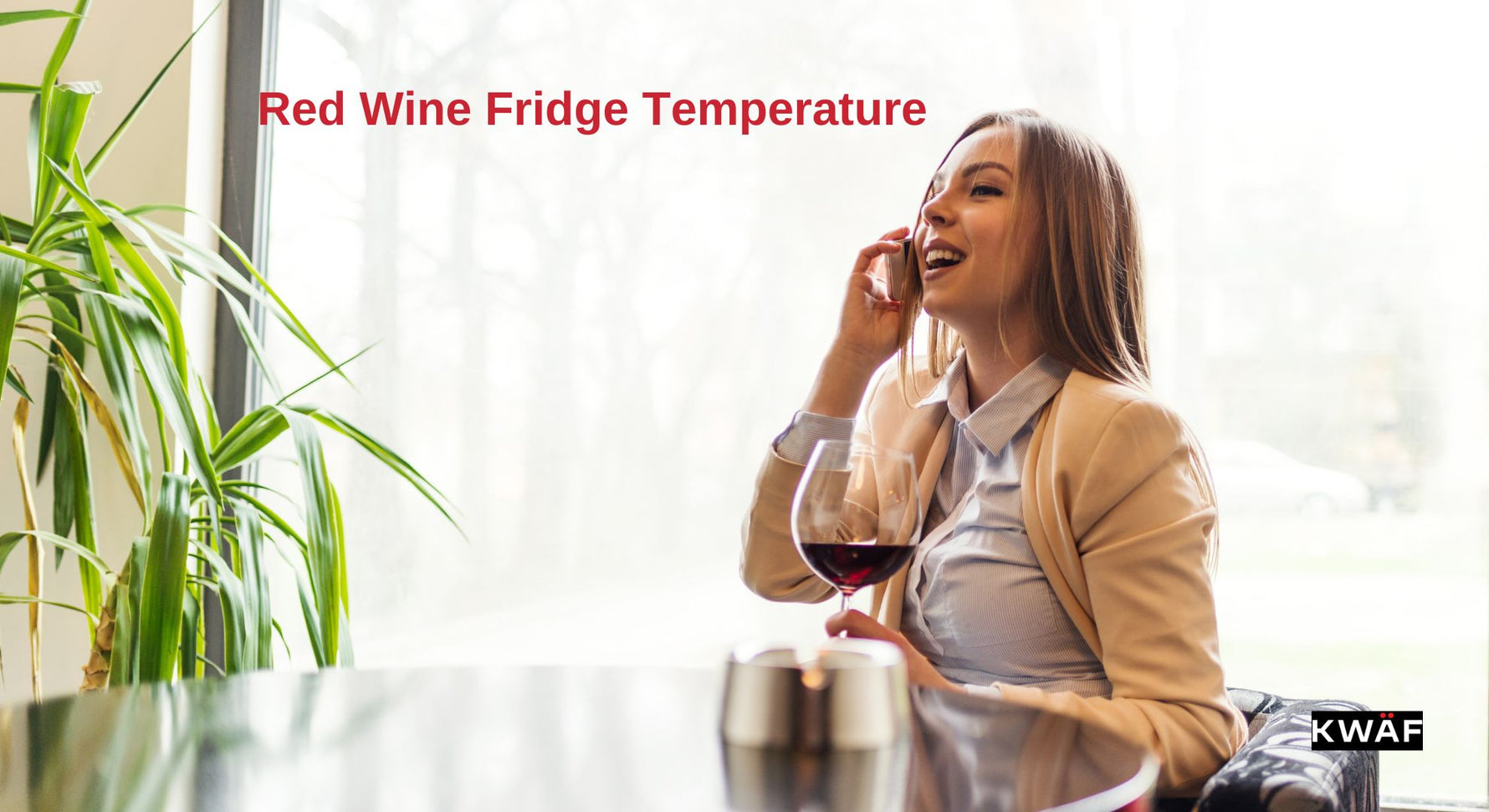 The Perfect Chill A Guide to Red Wine Fridge Temperature