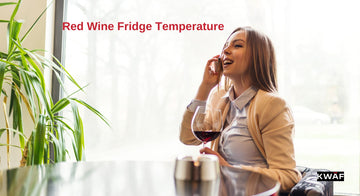The Perfect Chill_ A Guide to Red Wine Fridge Temperature