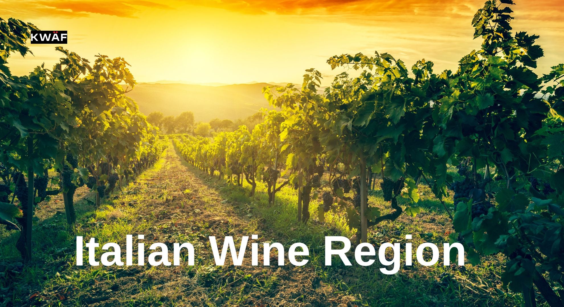 The Ultimate Guide to Italian Wine Regions_ From Piedmont to Sicily