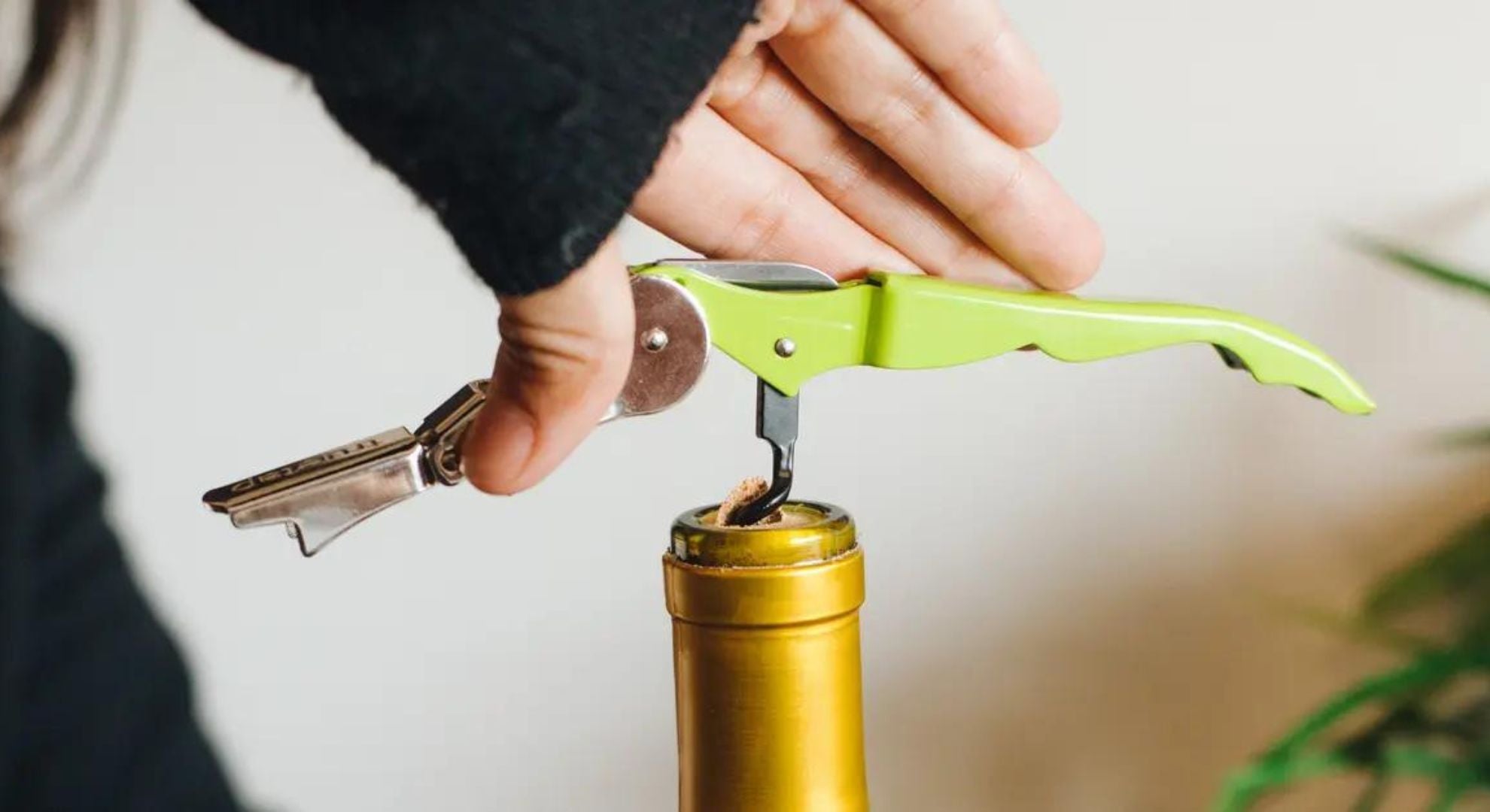 Wine Opener Mastery: From Corks to Cheers
