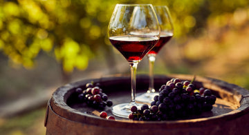 Unveiling the Perfect Red Wine Substitute_ Elevate Your Dining Experience!