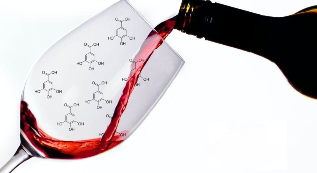 What Are Tannins in Wine: Secrets of Wine's Tannic Elegance – Kwaf Wine ...