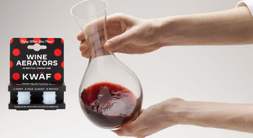 Wine Aerator Gift Guide for Wine Enthusiasts