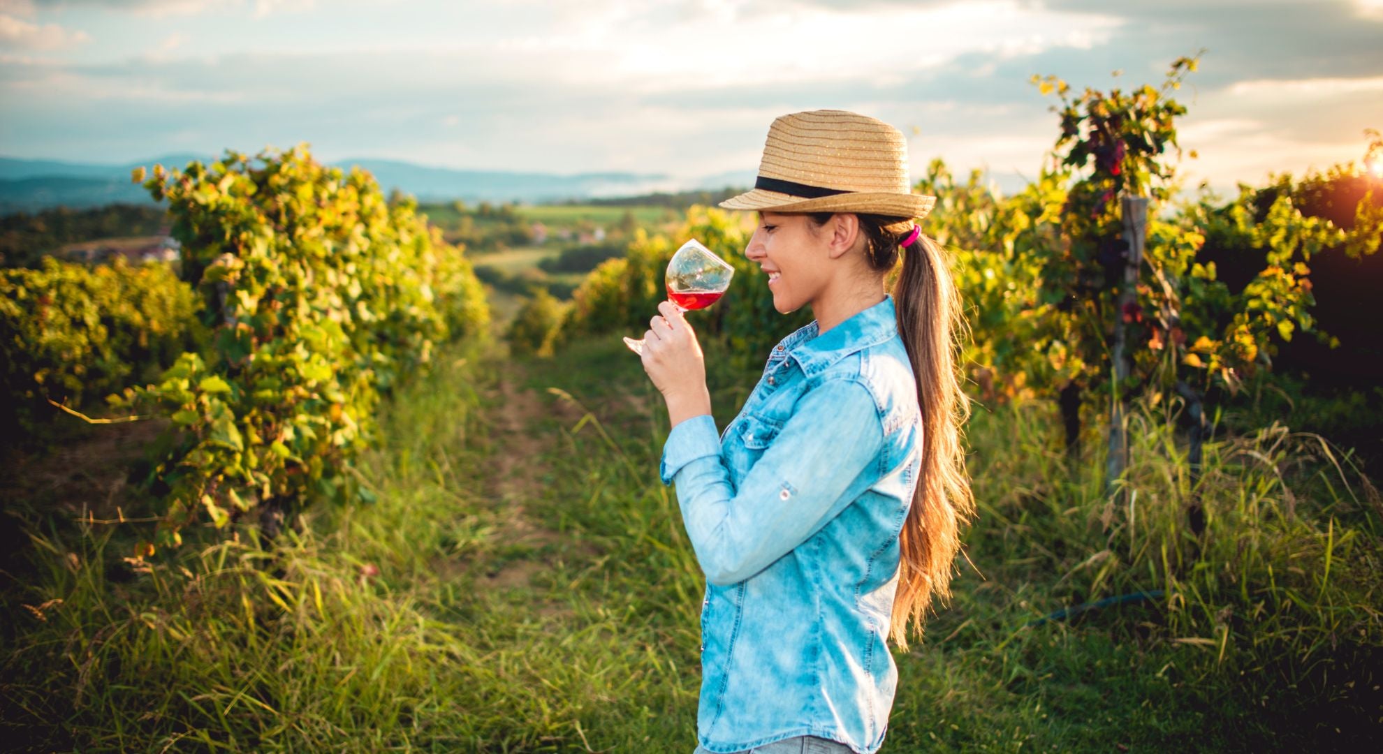 Wine Tasting_ A Beginner's Guide to Exploring the World of Wine