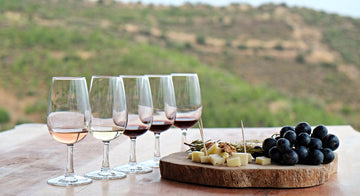 Wine Tasting in Temecula_ Your Guide to a Delightful Southern California Escape